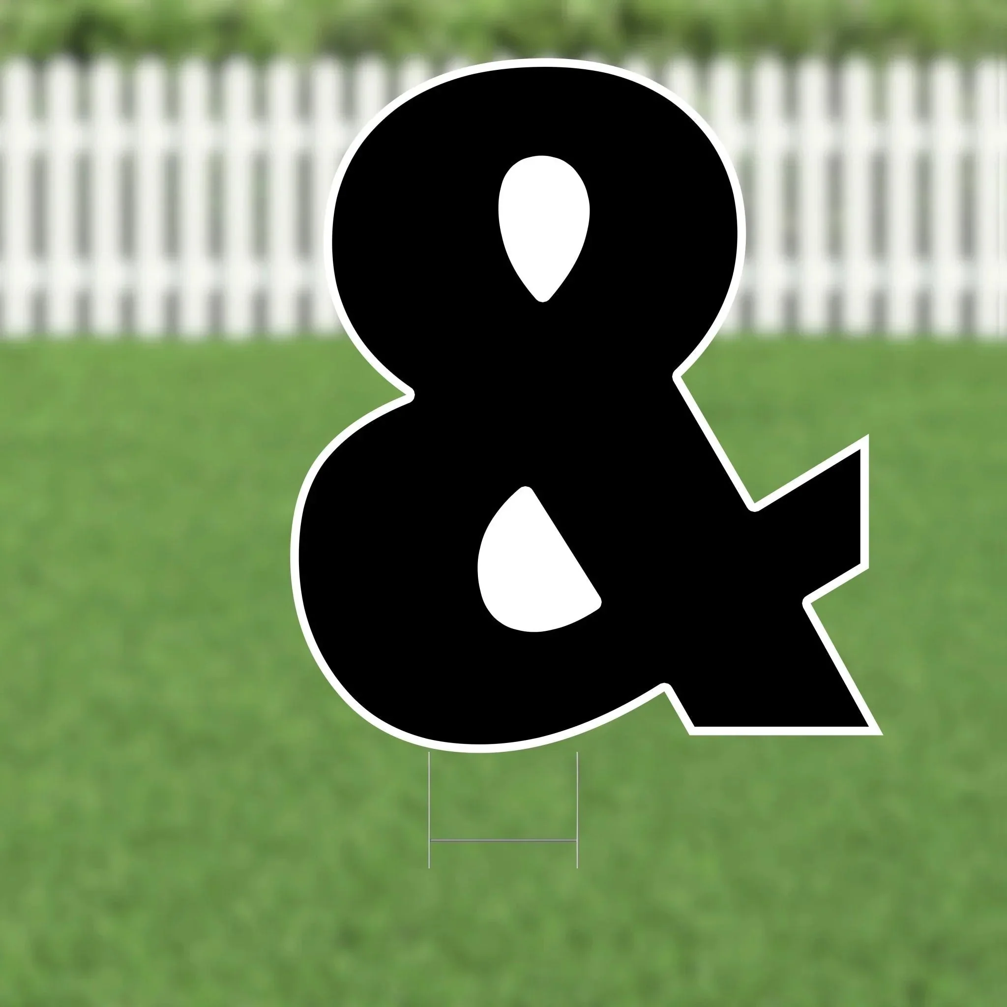 Thumbnail 13